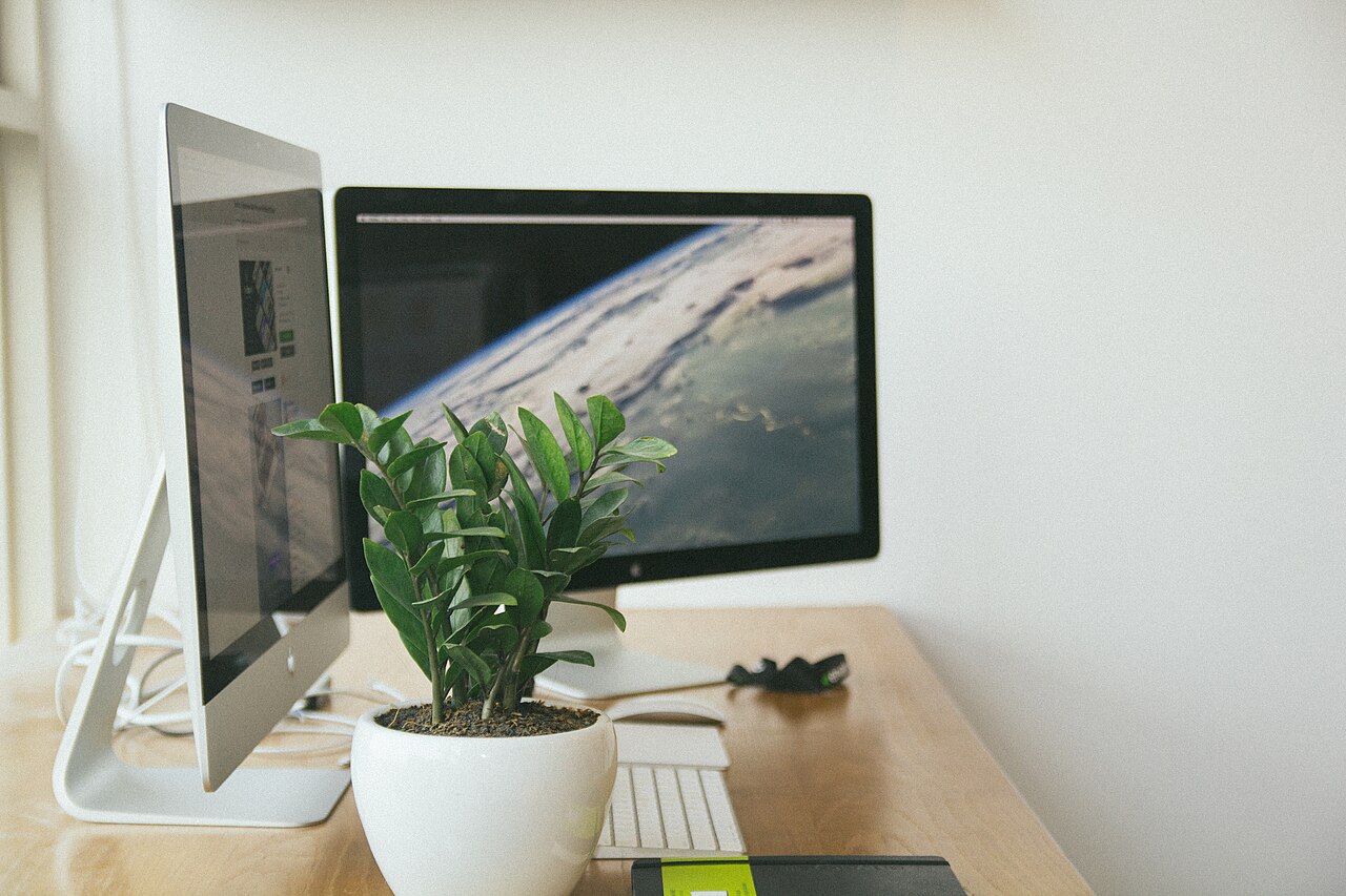 Monitor para jugar